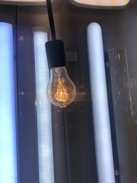 Low angle view of illuminated light bulbs hanging from ceiling