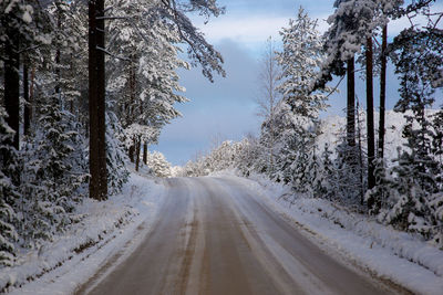 Road amidst trees against sky during winter