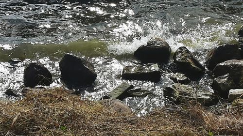 High angle view of water