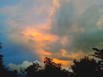 Low angle view of trees against dramatic sky