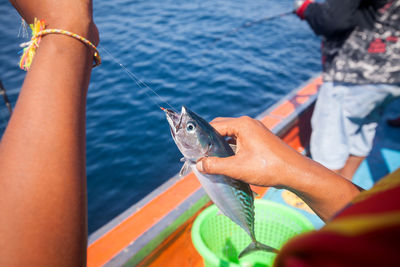 Cropped image of hand holding fish