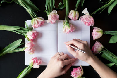 Close-up of hand holding pink roses