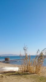 Scenic view of beach against clear blue sky