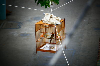 High angle view of clothes hanging in basket