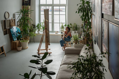 Potted plant by window