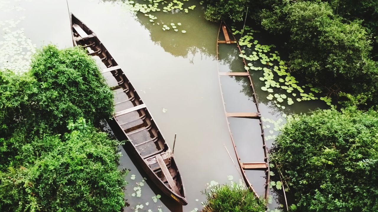 tree, transportation, water, growth, nautical vessel, mode of transport, built structure, architecture, boat, building exterior, green color, high angle view, day, nature, plant, moored, no people, outdoors, sunlight, river