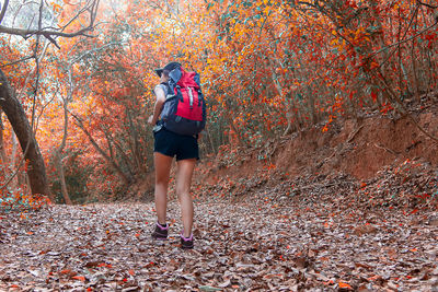 Full length of man photographing in forest during autumn