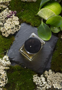 High angle view of woman holding coffee on field