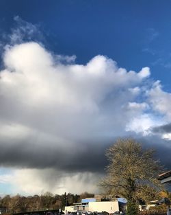Low angle view of trees against sky in city