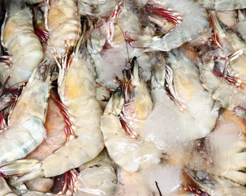 High angle view of fish for sale in market