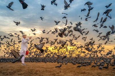 Full length of senior man feeding birds against sky