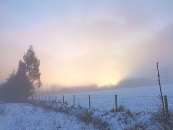 Scenic view of snow covered field against sky during sunset