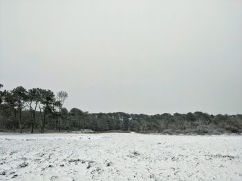 Scenic view of field against clear sky during winter