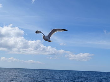 Seagull flying over sea against sky