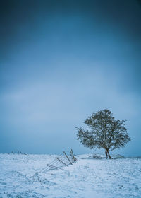 Snow covered trees on field against sky