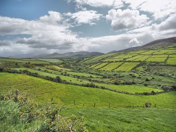 Scenic view of agricultural field against sky