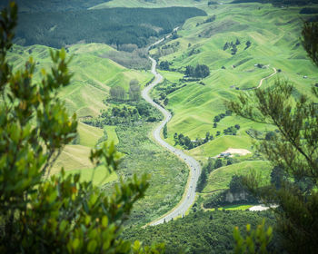 Winding road leading through green rolling hills framed by foliage. new zealand.