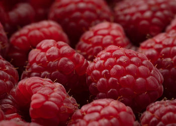 Full frame shot of pine cones