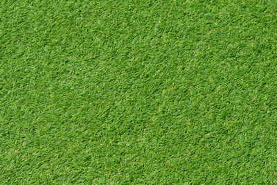 Green grass