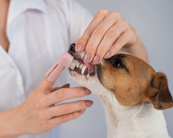 Midsection of man with dog