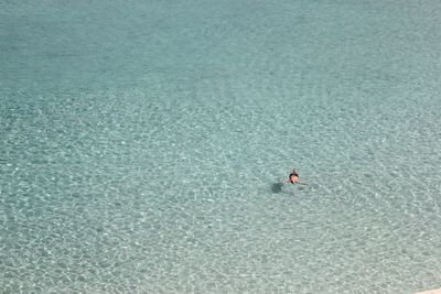 High angle view of person in sea