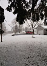 Snow covered plants in city