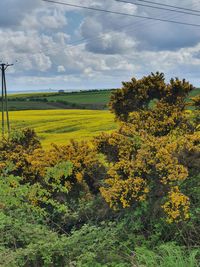 Scenic view of landscape against sky