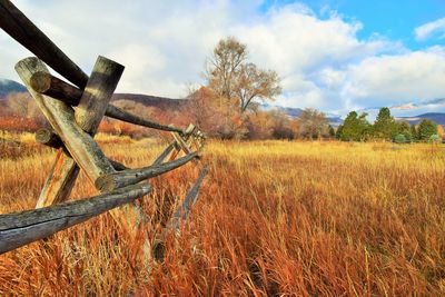 Scenic view of field against sky