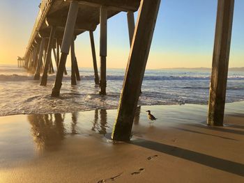 Scenic view of beach during sunset