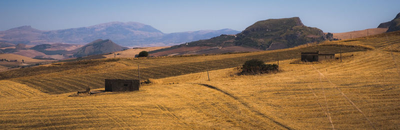 Scenic view of agricultural field against clear sky