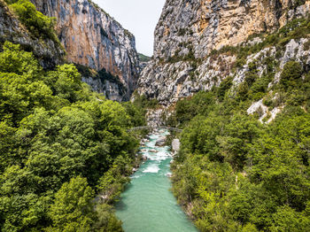 Scenic view of river amidst trees in forest