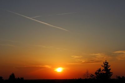 Silhouette trees against sky during sunset