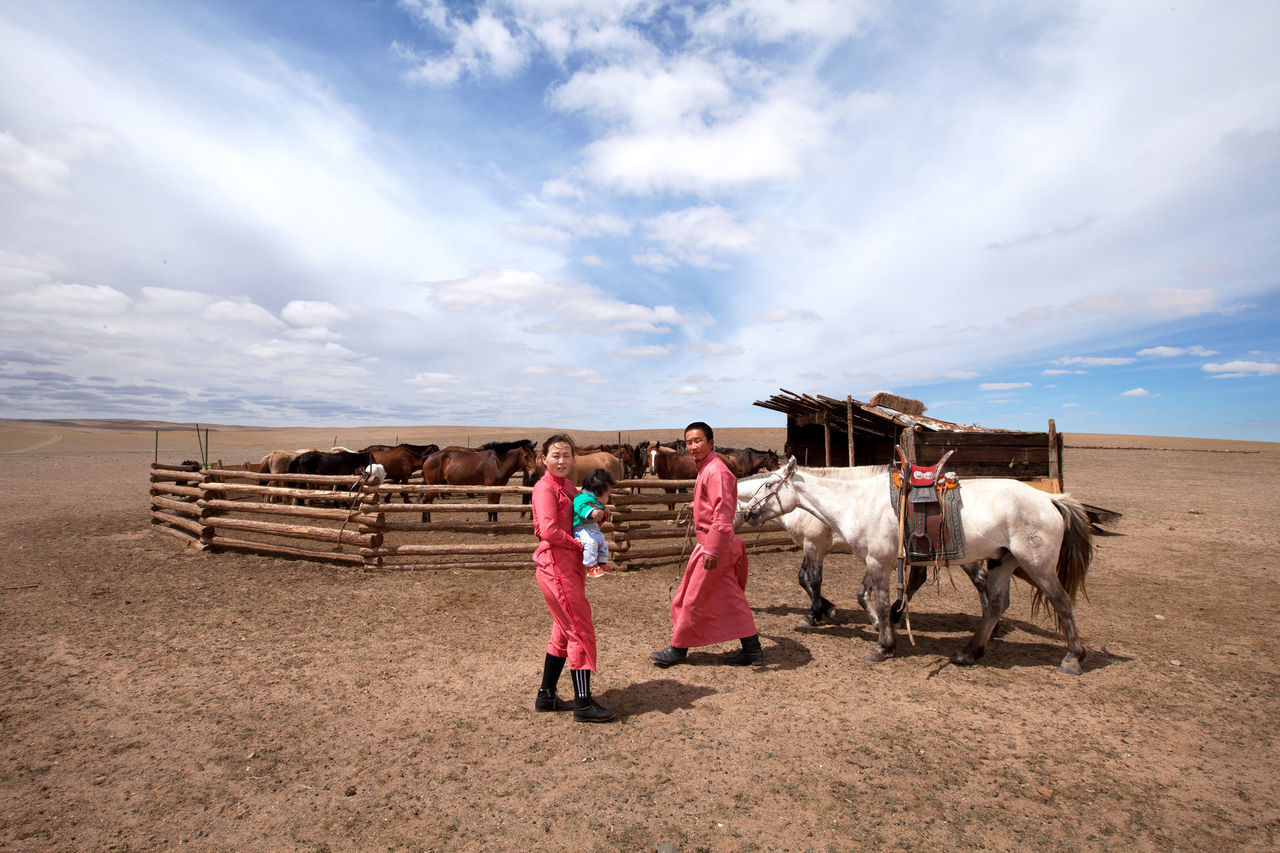 domestic animals, mammal, domestic, pets, sky, livestock, full length, cloud - sky, vertebrate, real people, one animal, land, nature, women, adult, animal wildlife, horse, outdoors