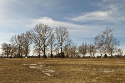 Bare trees on field against sky