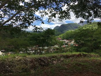 Scenic view of tree mountains against sky