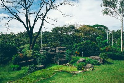 Scenic view of grassy landscape