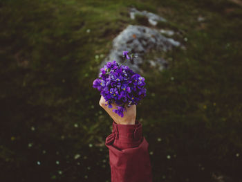 Cropped image of hand holding purple flowers on field