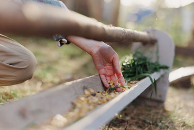 Midsection of woman putting food for bird