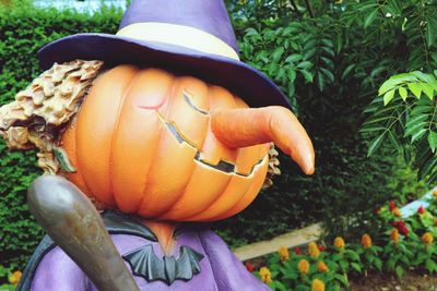 Portrait of young woman