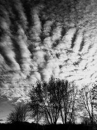 Low angle view of bare trees against cloudy sky