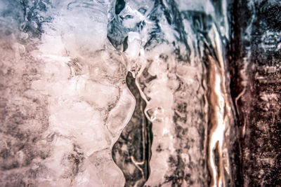 Close-up of icicles on tree trunk
