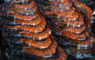 Close up shrimp on the grill