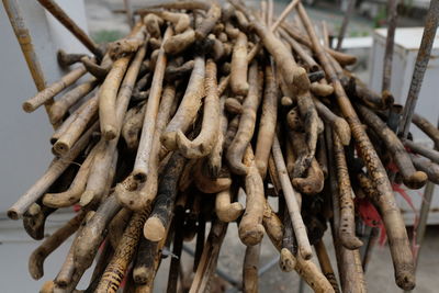 Close-up of roasted for sale in market