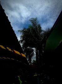 Low angle view of trees against sky