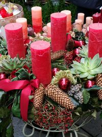 Close-up of potted plants