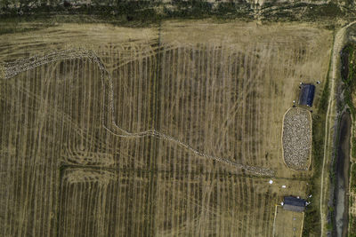 High angle view of wooden posts on field