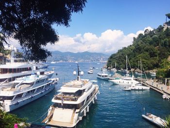 Sailboats moored in sea against sky