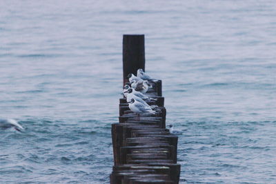 Statue on wooden post in sea