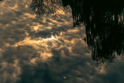 Low angle view of silhouette tree against sky