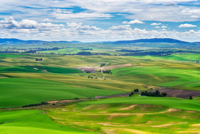 Scenic view of agricultural landscape against sky